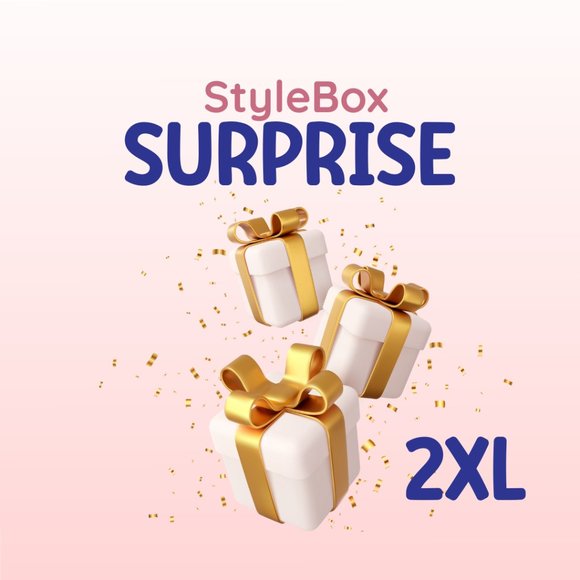 Surprise Style Box - 2XL - Picture 1 of 1